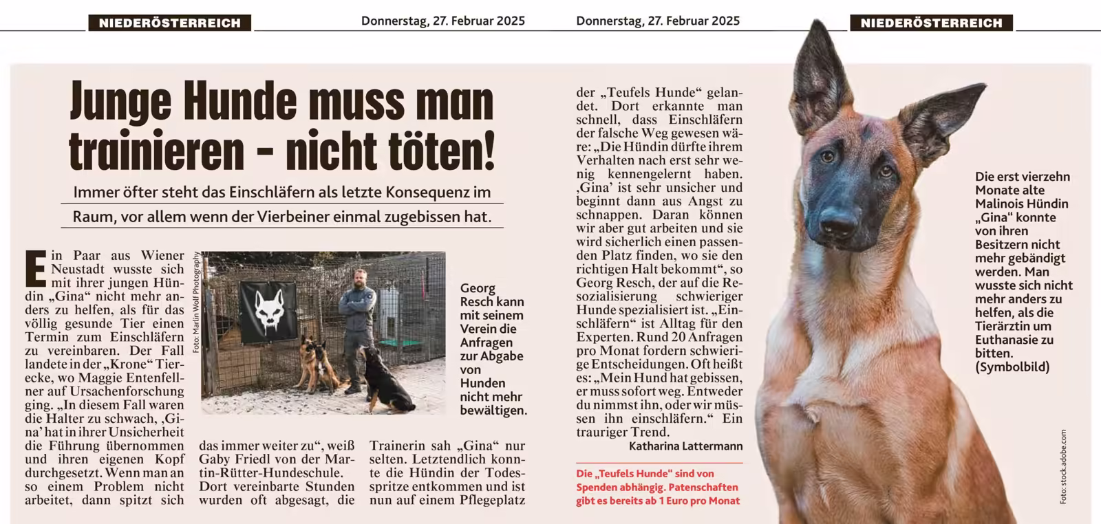 Doppelseite der Kronen Zeitung „Junge Hunde muss man trainieren – nicht töten!“