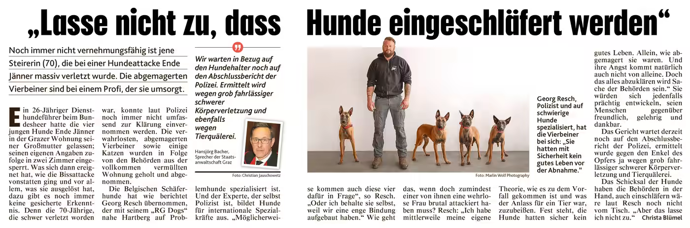Zeitungsartikel „Lasse nicht zu, dass Hunde eingeschläfert werden“