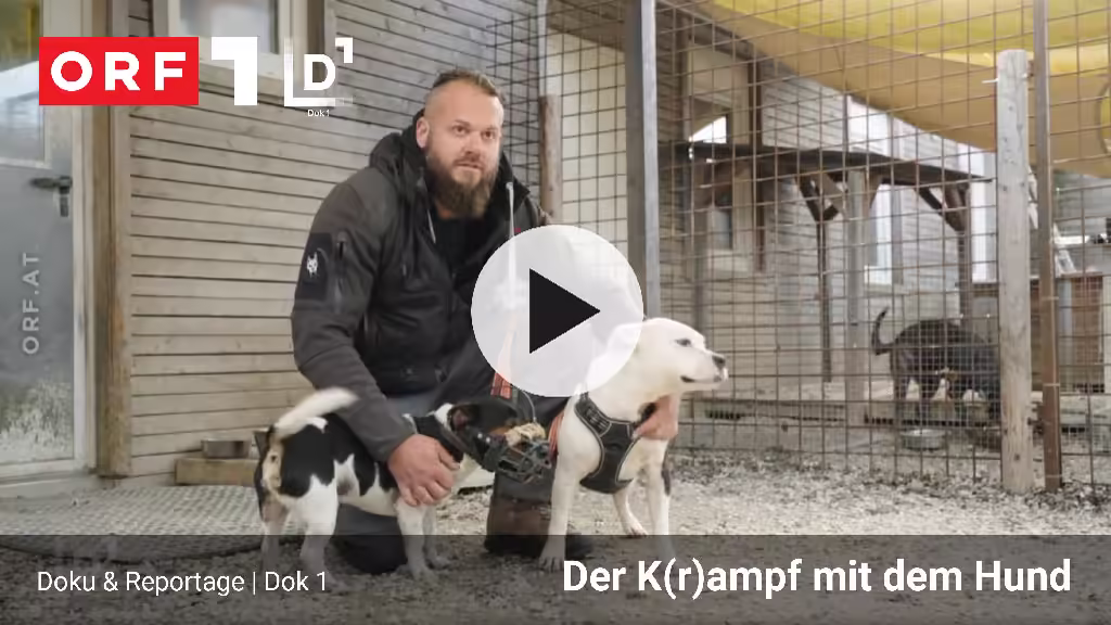 Szene aus der ORF-Dokumentation Dok 1 – Der K(r)ampf mit dem Hund