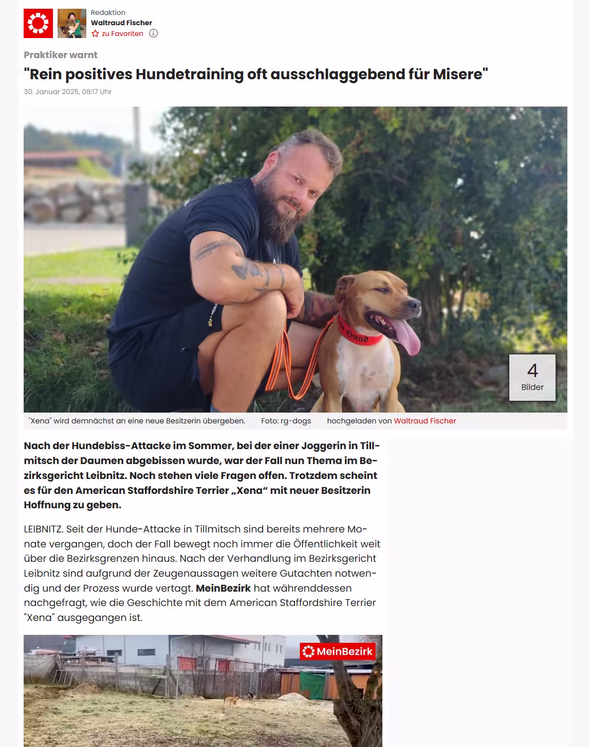MeinBezirk-Artikel über rein positives Hundetraining