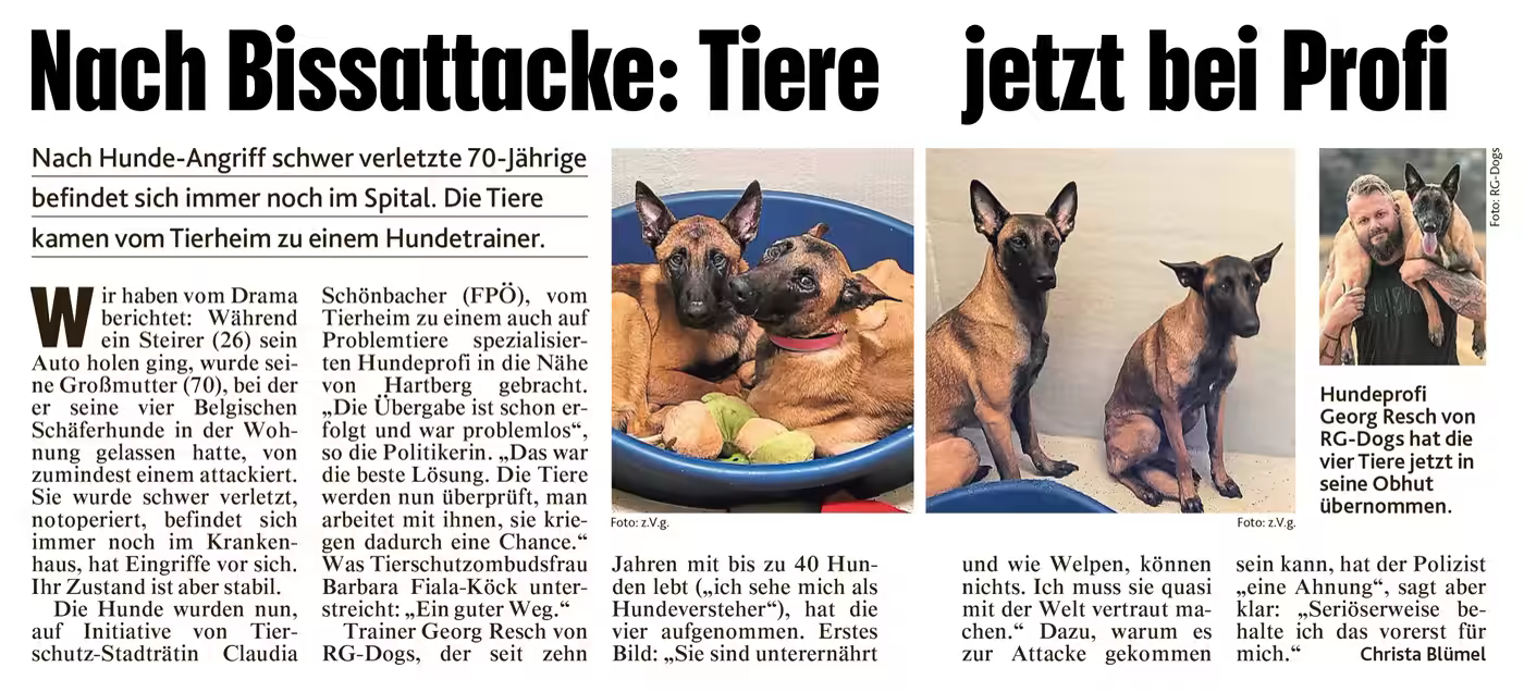 Zeitungsartikel „Nach Bissattacke: Tiere jetzt bei Profi“