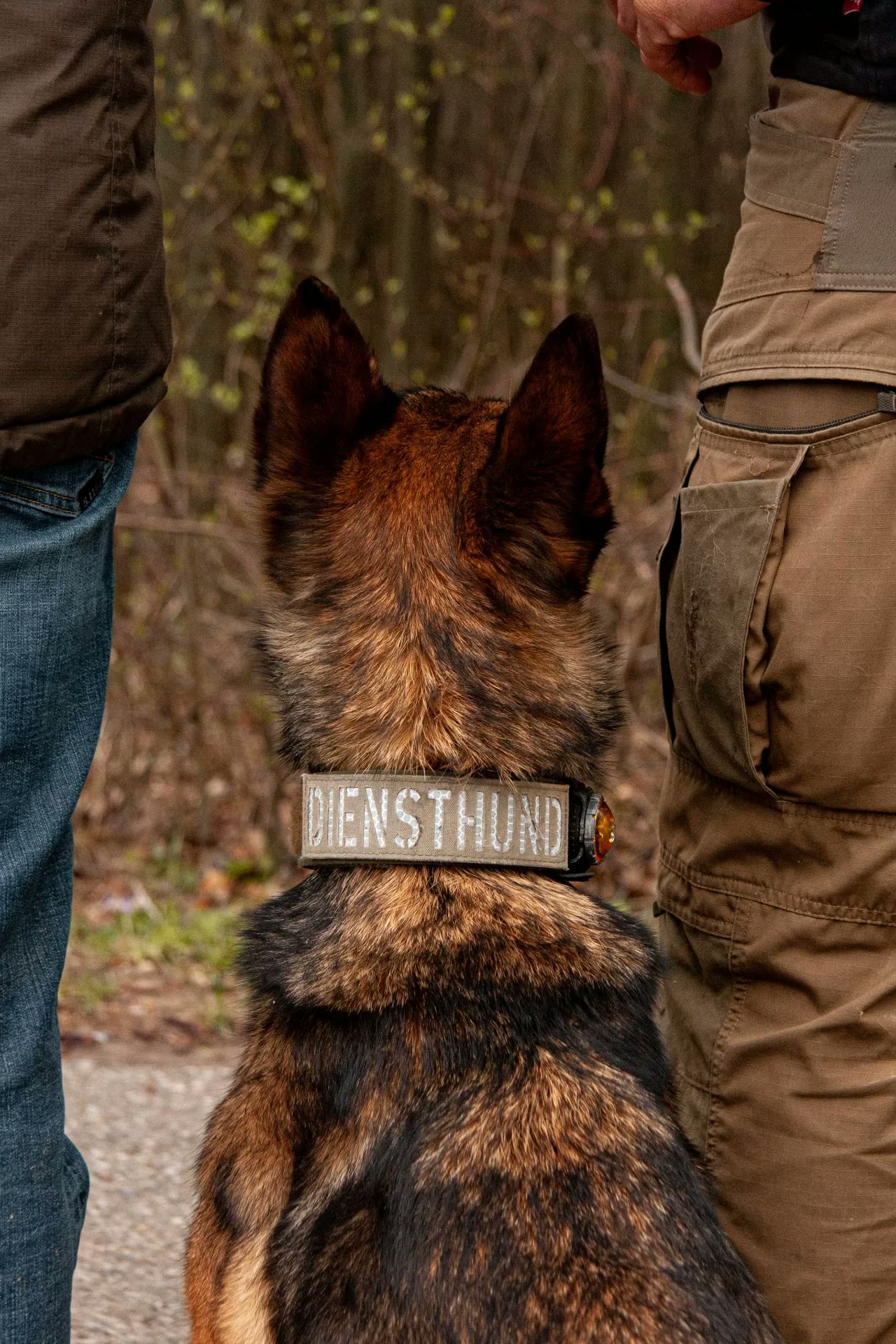 Georg Resch arbeitet im Einzeltraining mit einem Hund an der Leine