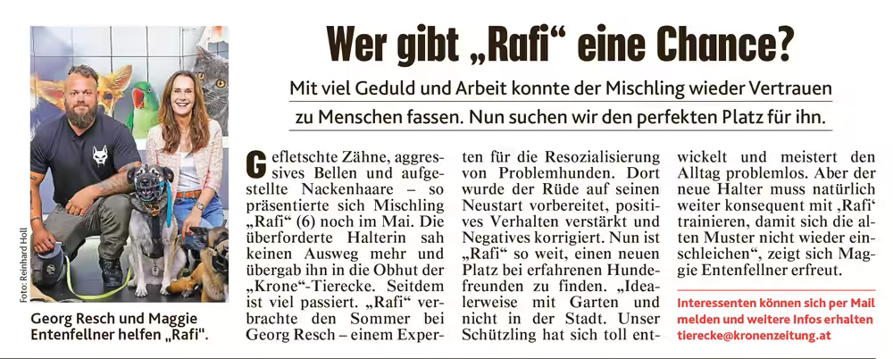 Zeitungsartikel „Wer gibt Rafi eine Chance?“